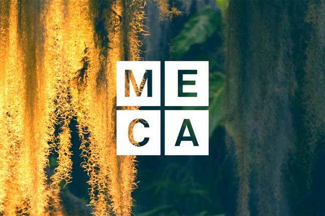 MECAFestival 2015 em Maquiné